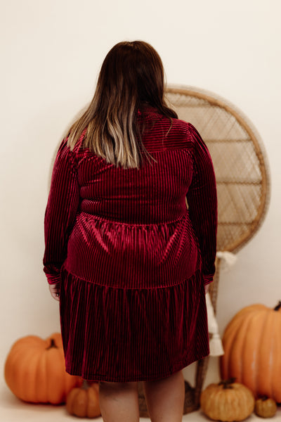 Berry Velvet Textured Collared Button Down Dress