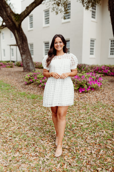 White Gingham Organza Puff Sleeve Dress