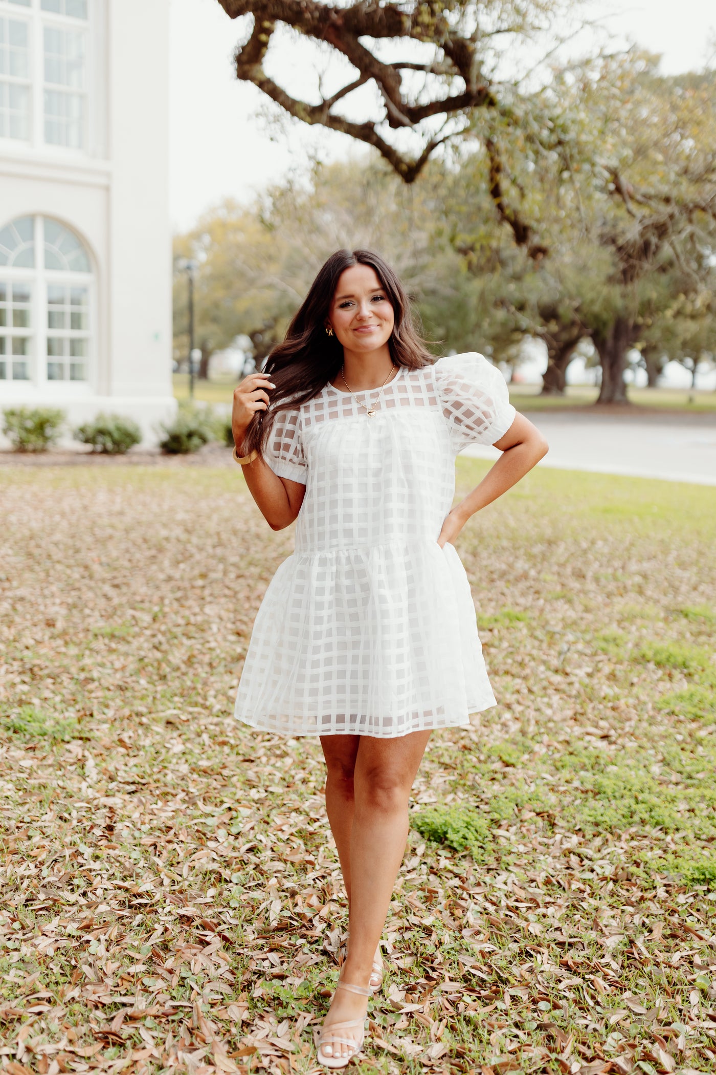 White Gingham Organza Puff Sleeve Dress