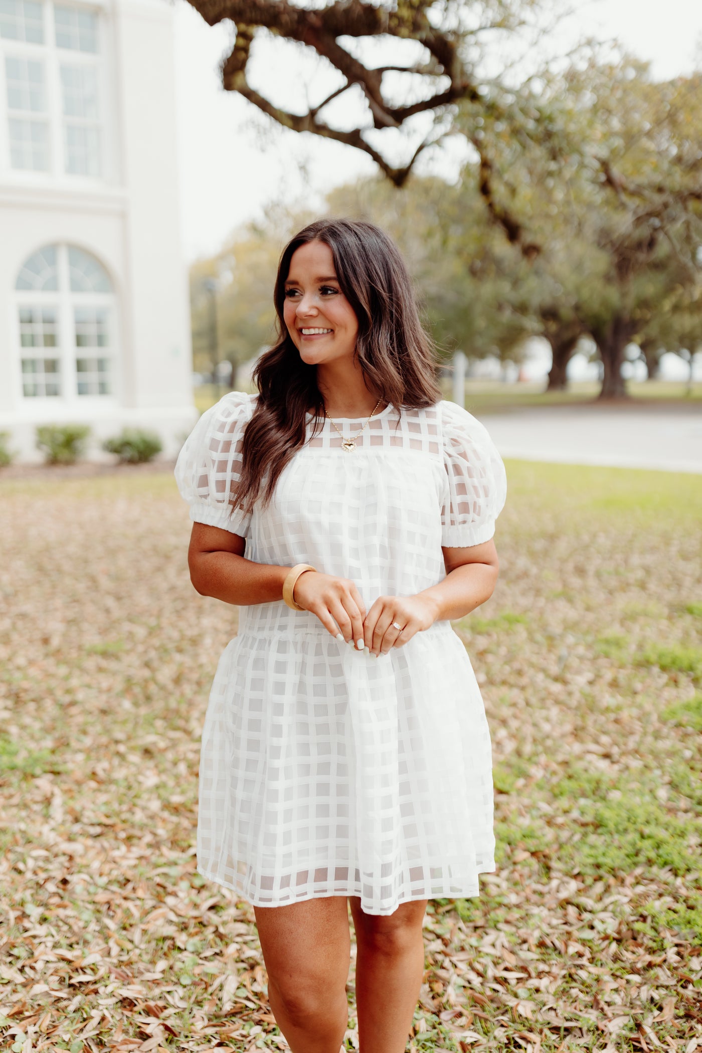 White Gingham Organza Puff Sleeve Dress