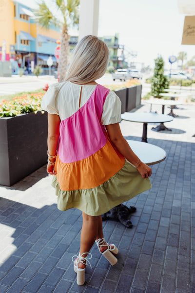 Pink Multi Combo Puff Sleeve Swing Dress