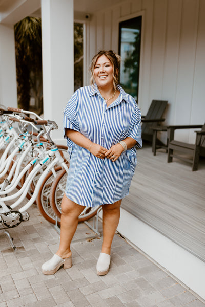 Blue Striped Button Down Dress