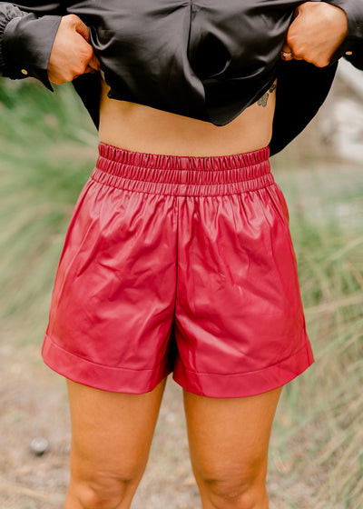 Garnet Faux Leather Stretch Waist Shorts