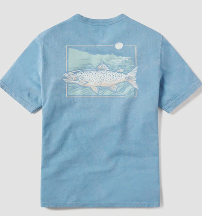 Southern Shirt USA Dog Days Graphic Tee in Deep Blue