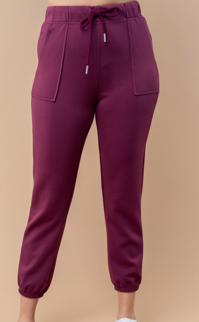 Wine Collared Half Button Pullover and Jogger Set